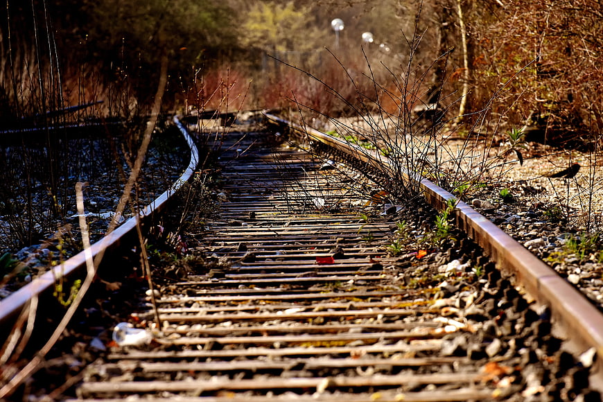 Abandoned Railway Tracks Overgrown with Weeds in Forest