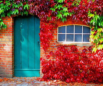 Teal Door and Window on Brick Wall with Red Autumn Ivy