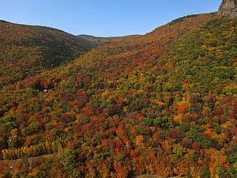 Aerial View of Colorful Autumn Forest in Mountain Valley