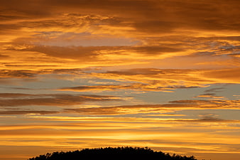 Dramatic Orange Sunset Sky with Silhouetted Tree Line