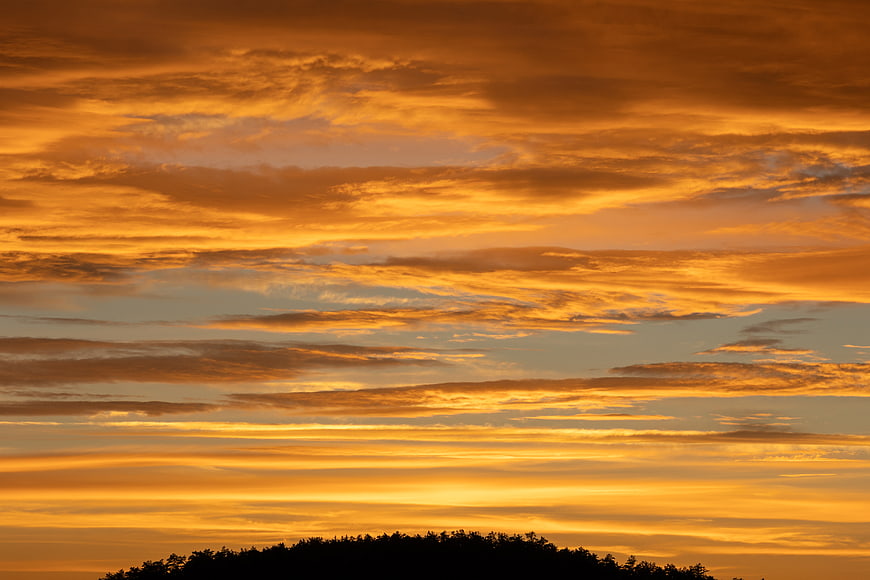 Dramatic Orange Sunset Sky with Silhouetted Tree Line