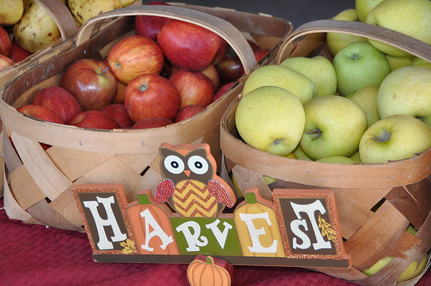 Autumn Harvest Display with Red and Green Apples in Baskets
