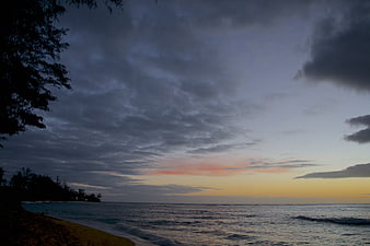Dramatic cloudy sunset over ocean with silhouetted trees