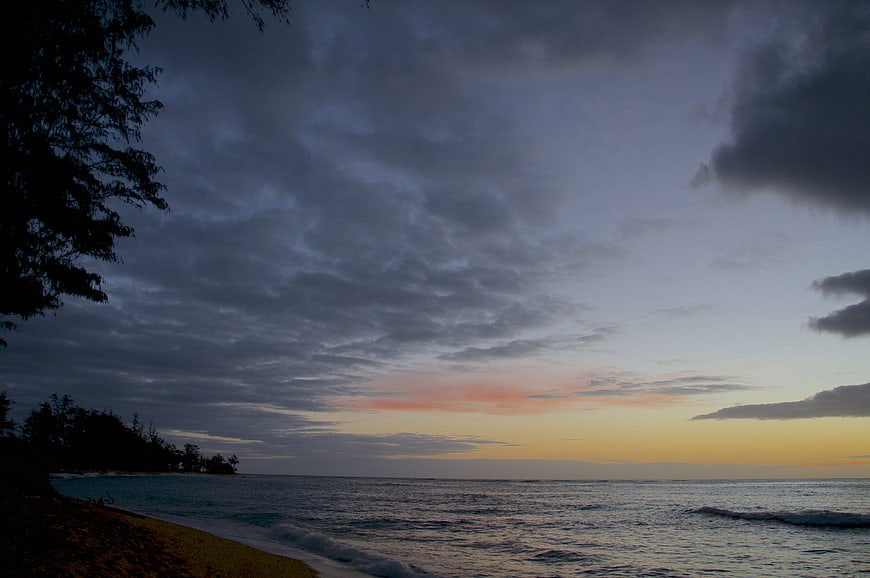 Dramatic cloudy sunset over ocean with silhouetted trees