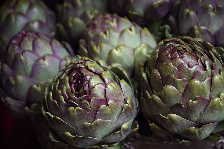 Close-up of fresh green and purple artichokes
