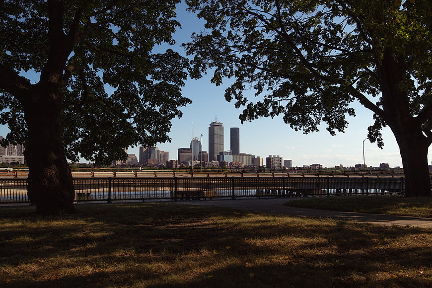 Baltimore Skyline View Through Park Trees