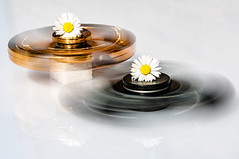 Two Fidget Spinners with Daisies on White Background