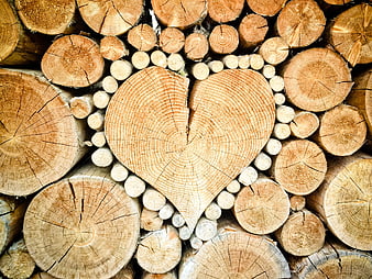 Heart shape carved from stacked firewood logs