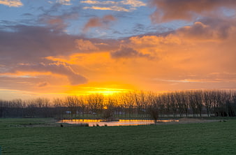 Vibrant sunrise over green field with pond and bare trees