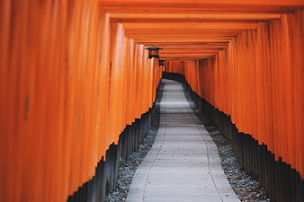 Pathway through vermilion torii gates at Fushimi Inari shrine