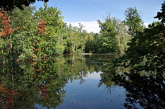 Serene Lake Reflection in Autumn Forest with Colorful Trees