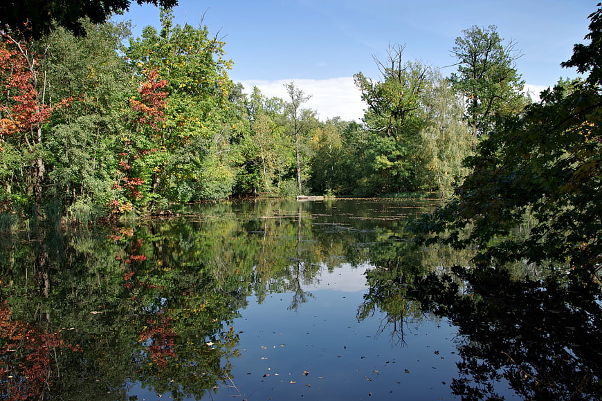 Serene Lake Reflection in Autumn Forest with Colorful Trees