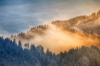 Snowy Mountain Forest with Golden Morning Fog