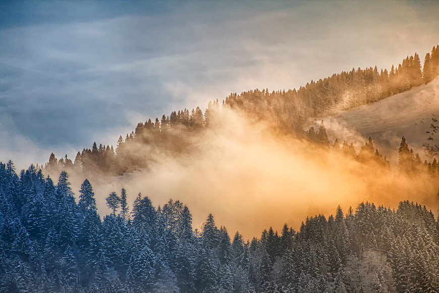Snowy Mountain Forest with Golden Morning Fog