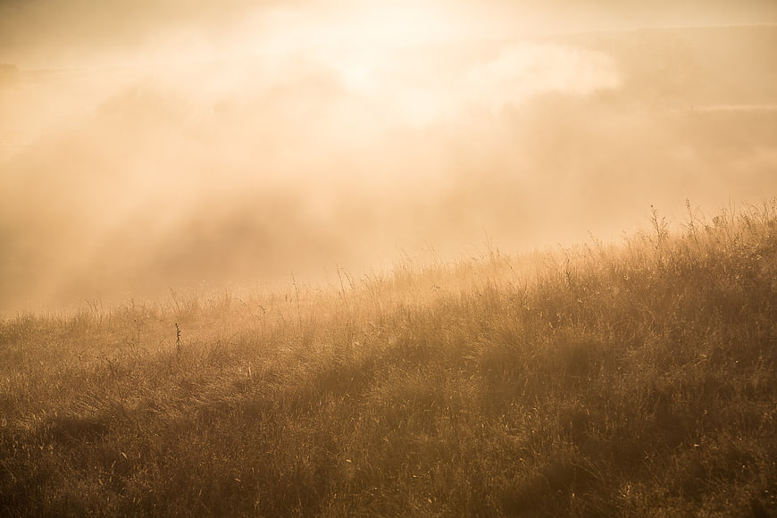 Golden Misty Grassland Landscape at Sunset
