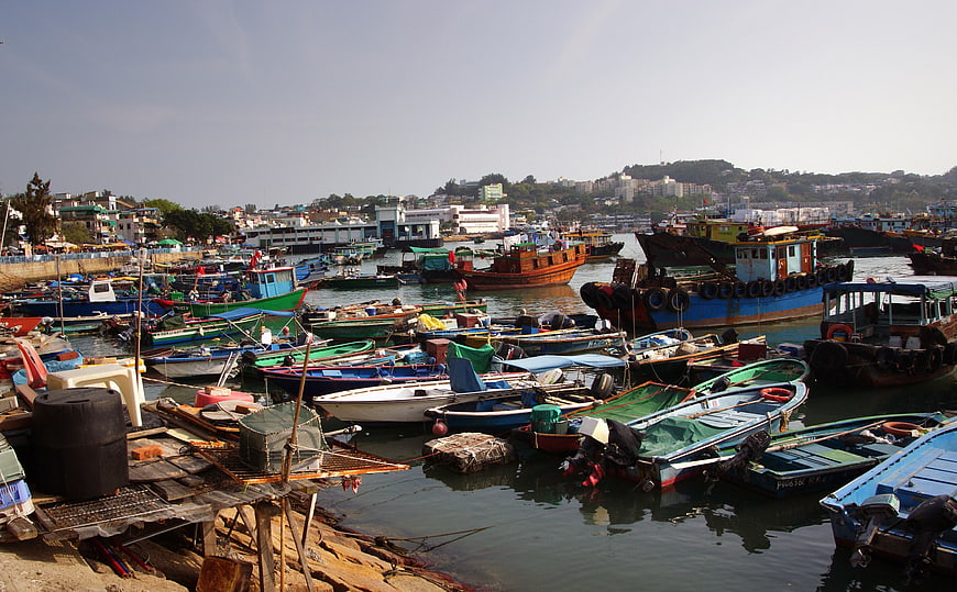 Busy Fishing Harbor with Colorful Wooden Boats