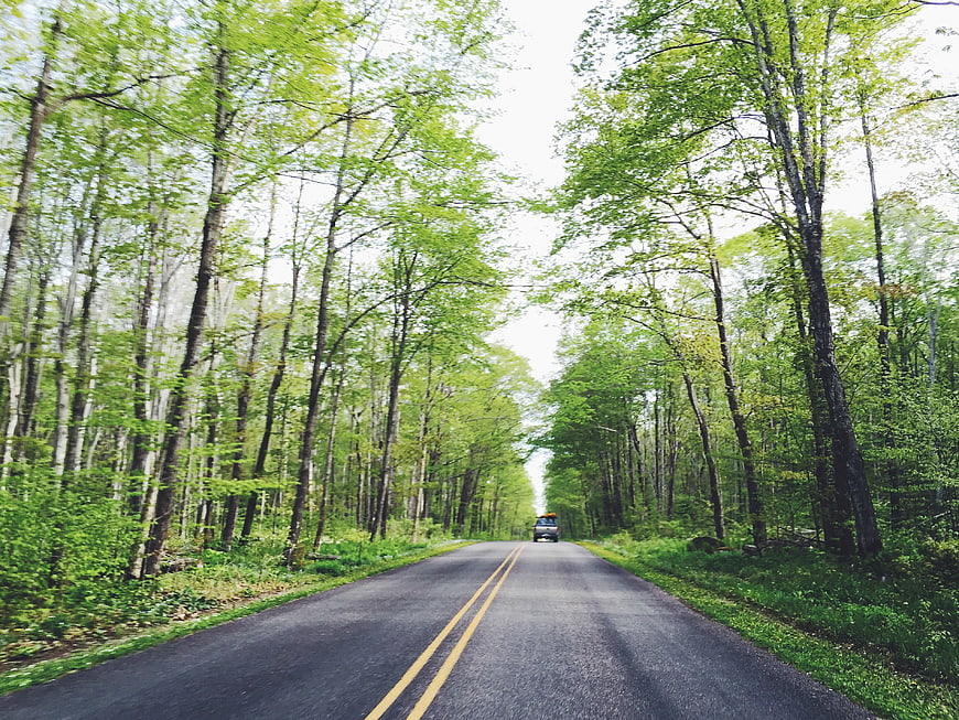 Car Driving on Forest Road in Spring