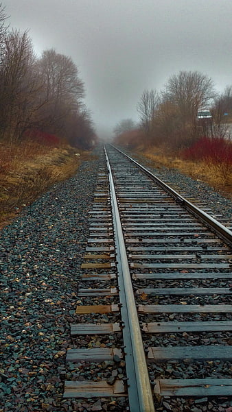 Foggy Railway Tracks Disappearing into Misty Forest