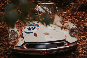 Vintage white Porsche 911 covered in autumn leaves