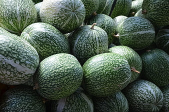 Pile of fresh green speckled pumpkins at market