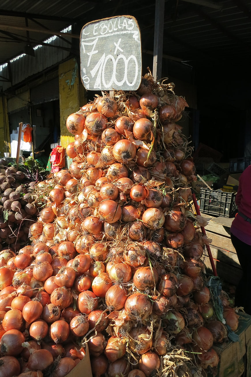 Pile of onions at a local market with price sign