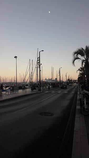 Quiet Marina Road at Dusk with Moon and Palm Trees