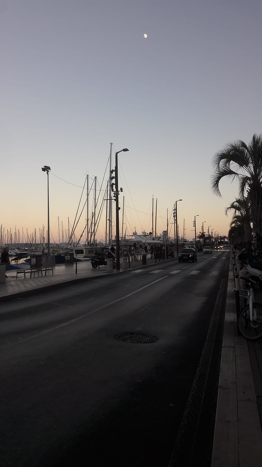 Quiet Marina Road at Dusk with Moon and Palm Trees