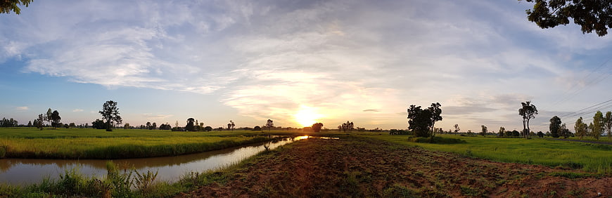 Panoramic sunset over green rice fields and river