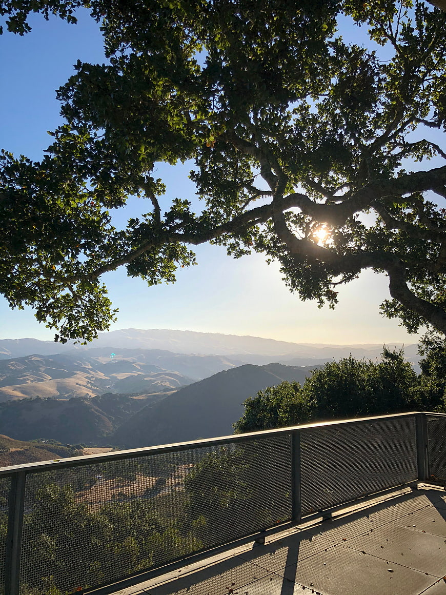 Scenic California Valley View Through Tree Branches