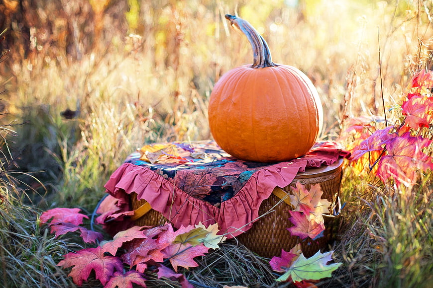 Autumn Pumpkin Still Life With Colorful Fall Leaves And Wicker Basket