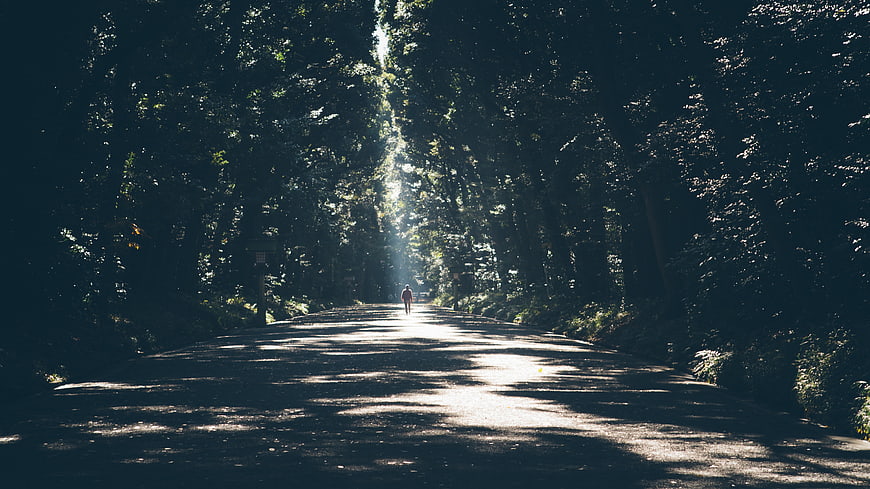 Lone Cyclist on Sunlit Forest Road