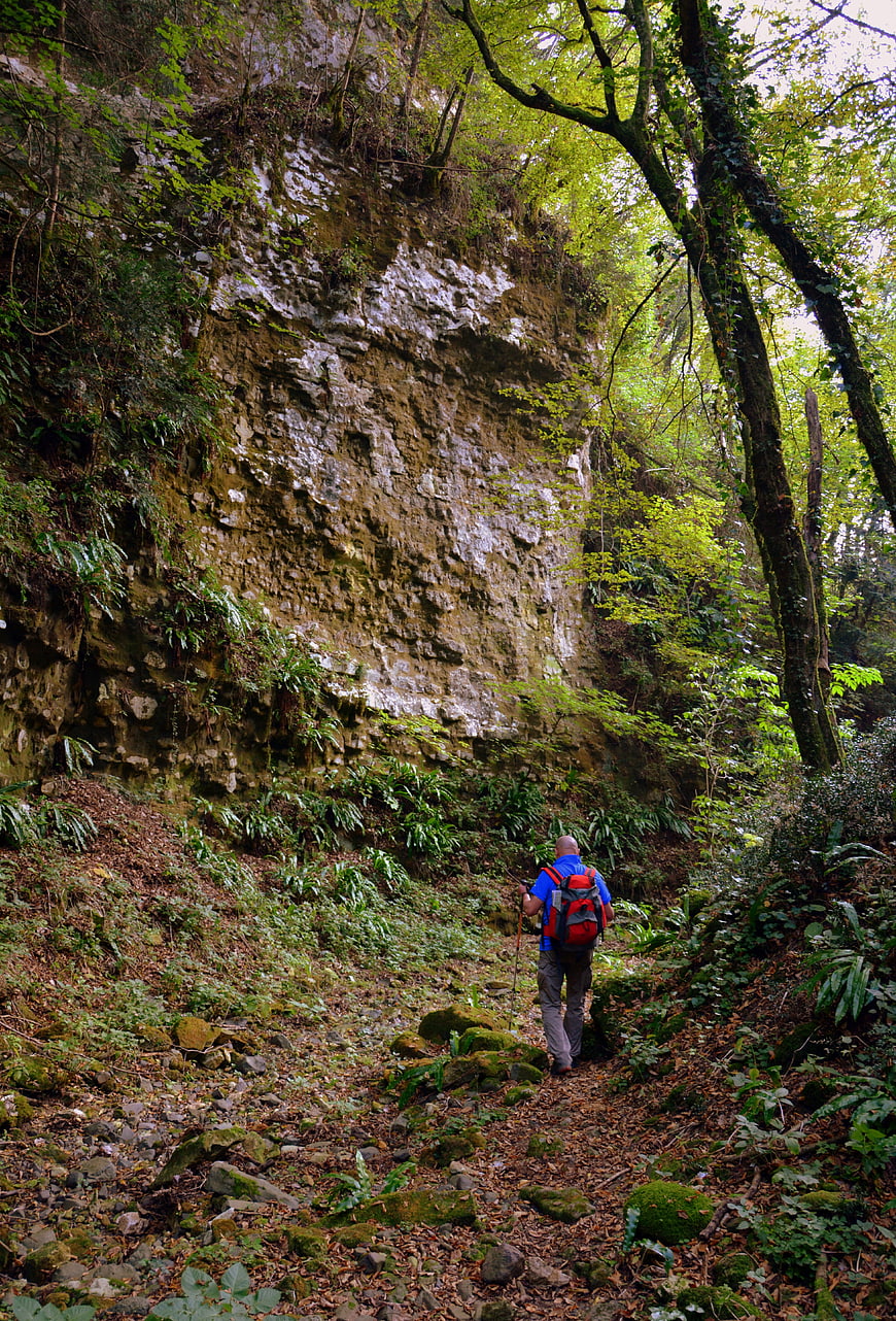 Hiker with backpack walking on forest trail near rock face