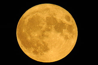 Full Moon Close Up Against Black Night Sky