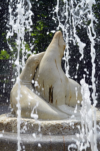 Marble Seal Sculpture in Outdoor Water Fountain