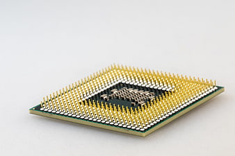 Close-up of a computer processor chip with gold pins