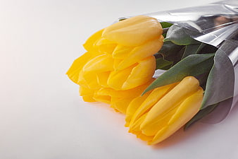 Bouquet of Yellow Tulips Wrapped in Silver Foil