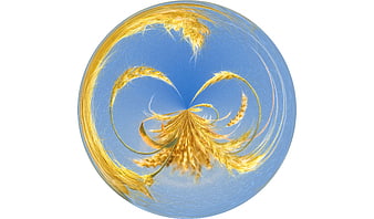 Abstract 360-degree wheat sphere on blue sky background