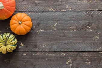 Autumn pumpkins on rustic dark wood background with copyspace