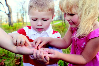 Two young children examining a ladybug in an adult's hand