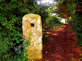Ancient Menhir Stone Marker on Forest Trail in Brittany