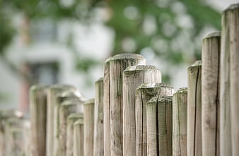 Close-up of weathered wooden fence posts with blurred background