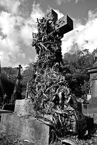 Ancient Cemetery Cross Overgrown With Twisted Roots In Black And White