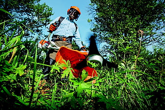 Gardener using a string trimmer in tall grass