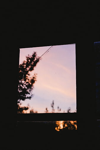 Film strip frame showing sunset sky and tree silhouette