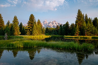 Grand Teton Mountains Reflected in Serene Marsh Waters