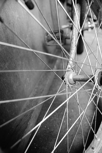 Close-up of Bicycle Wheel Spokes in Black and White