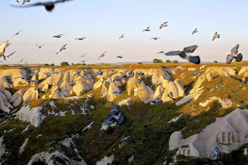 Flock of pigeons flying over Cappadocia rock formations