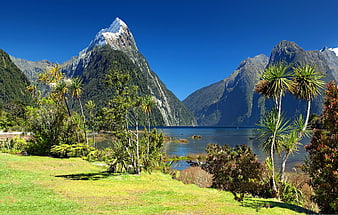 Mitre Peak and Milford Sound Landscape in Fiordland National Park