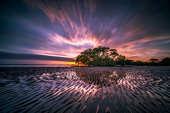 Dramatic Long Exposure Sunset Over Rippled Sand and Mangrove Trees