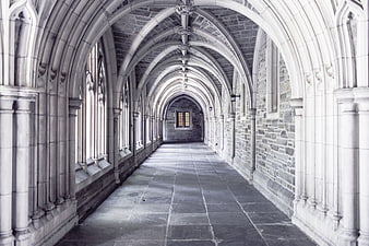 Gothic stone cloister hallway with vaulted arches